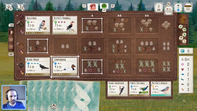 Wingspan Gameplay | Where should the Ibis go? смотреть онлайн