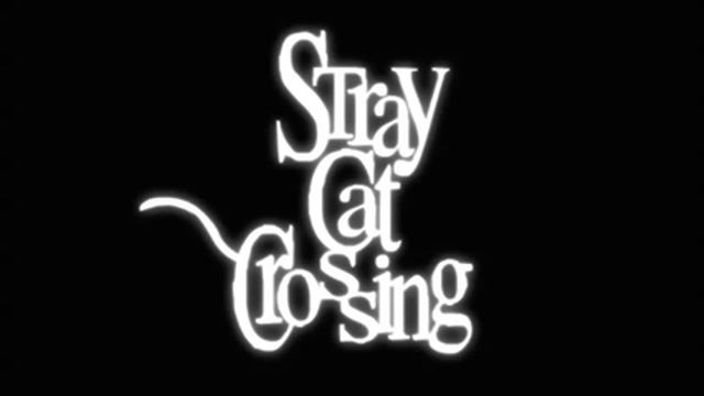 Stray Cat Crossing OST - Would Baby Like To Play? (Extended) смотреть онлайн