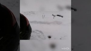 Ниссан Мурано. Предисловие и Правда. (1).mp4