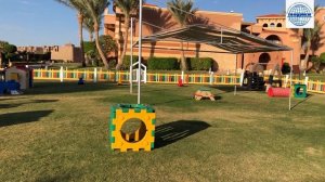 CHARMILLION GARDENS AQUA PARK 4* (Египет, Шарм-эль-Шейх)