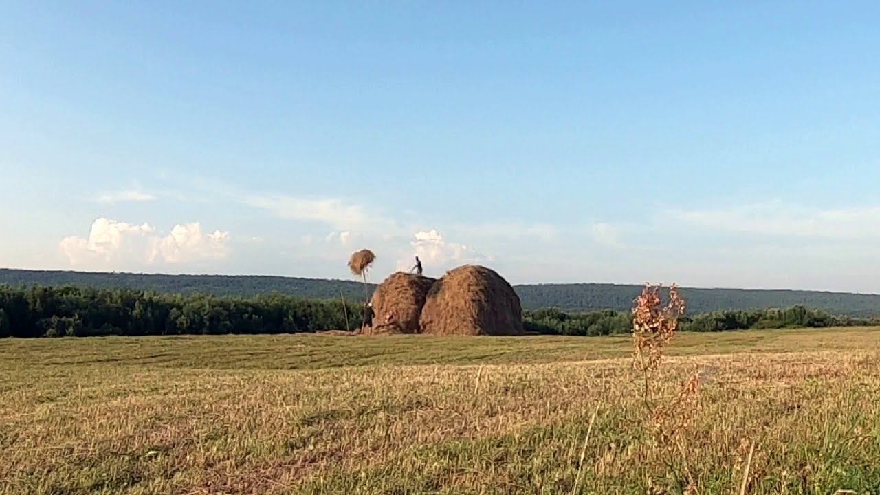 Заготовка сена в Якутии смотреть онлайн
