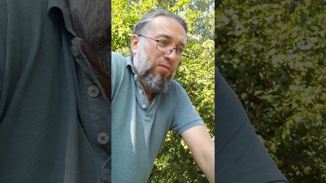 Бамбусофия (передача 3)/ Общий знаменатель Сякухати смотреть онлайн