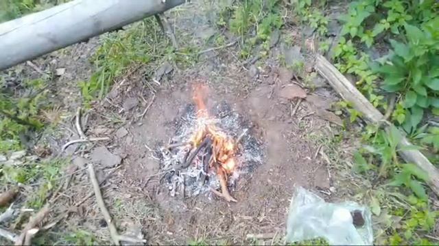 #свободушаману #демонуходи [обряд №48] Лес смотреть онлайн