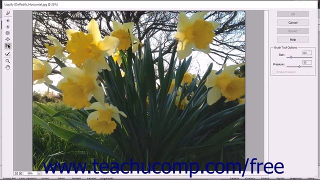 Photoshop Elements 15 Tutorial The Liquify Command Adobe Training смотреть онлайн