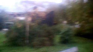 Коля Перекати-поле