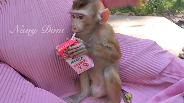 New abandoned Carlo is starving her cry shaking body upset with mom give milk to Angela first смотреть онлайн