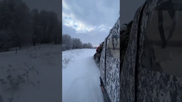 Летим на кемпинг Таёжник #походы #туризм #природа #сибирь #тайга смотреть онлайн