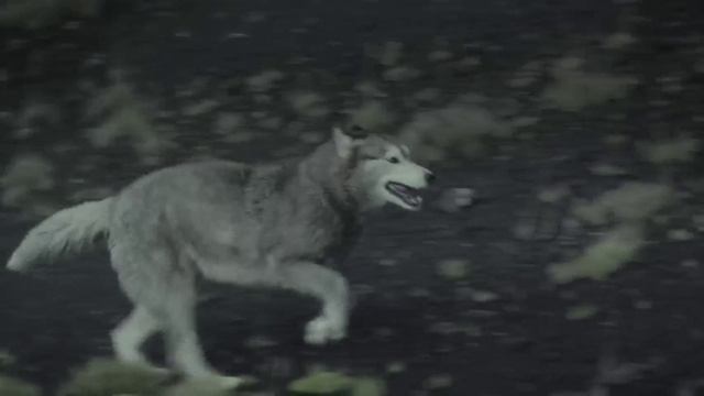 All-CLA-Class Highlight.