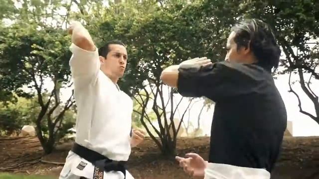 Clash Of Styles: Karate vs. Kung Fu | Action Short Film смотреть онлайн