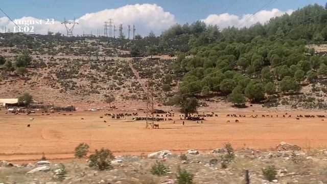 18 дней в турции смотреть онлайн