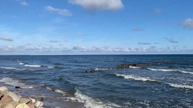 Зеленоградск смотреть онлайн