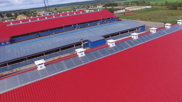 Полная реконструкция здания телятника , световой конек и шторы ООО "Светстрой" смотреть онлайн