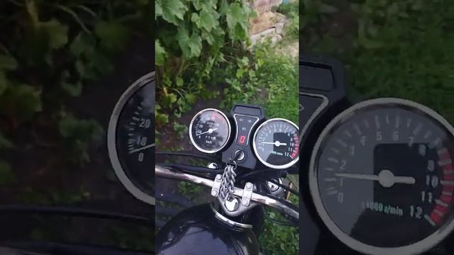 Как работает альфа барс смотреть онлайн