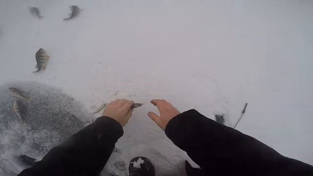 ловим окуньков на братском в черте города 23.11.2016 смотреть онлайн