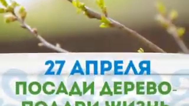 Единая республиканская акция «Зеленая Башкирия» «ПОСАДИ ДЕРЕВО - ПОДАРИ ЖИЗНЬ!» смотреть онлайн