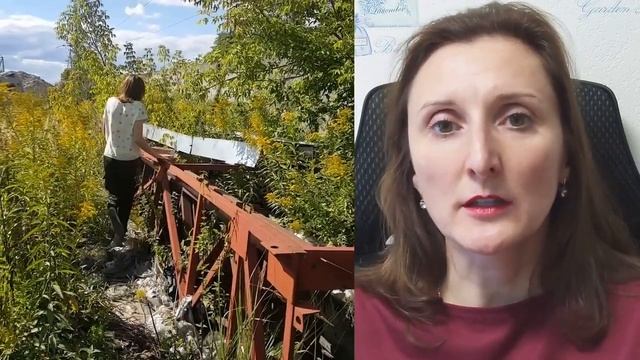 Как риэлтор перепродала навес с торгов с прибылью 35%?