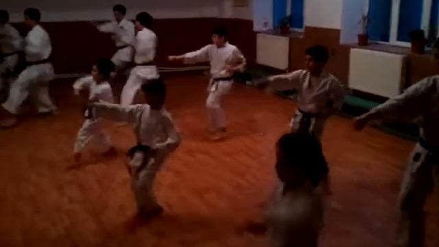 Antrenamente CS Dinamo-Zen-Do Caracal, filiala Corabia смотреть онлайн