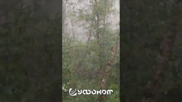 25 июня 2021 года в Калуге была предположительно заснята шаровая молния. смотреть онлайн