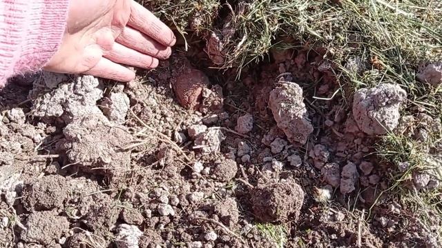 помощник электрокультиватор, по междурядьям само то! смотреть онлайн