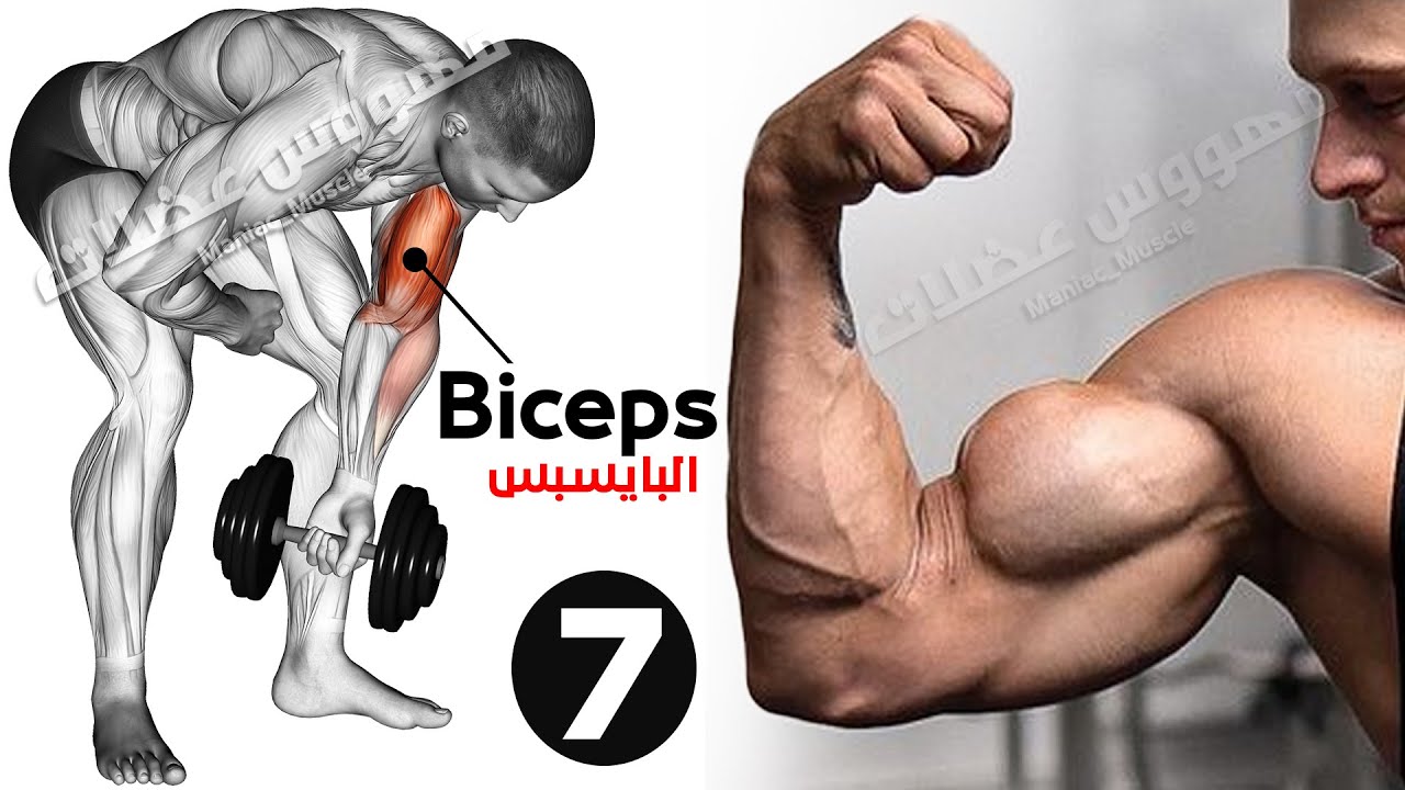 ? Как быстро накачать бицепс (7 эффективных тренировок) смотреть онлайн