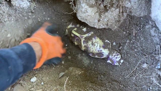 We Found Treasure With Gold Stinger X5 Metal Detector. / Treasure Hunt