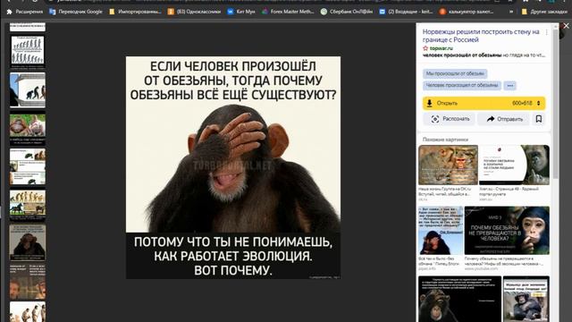 Как переобувается наука: была обезьяна, теперь появился некий мистический первопредок. Кто дальше? смотреть онлайн