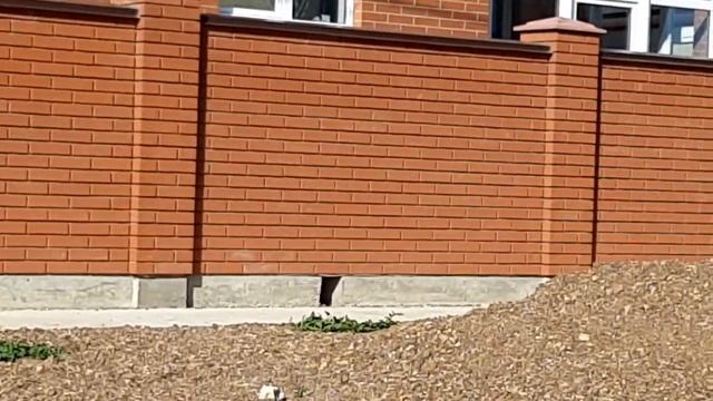 Кладка забора