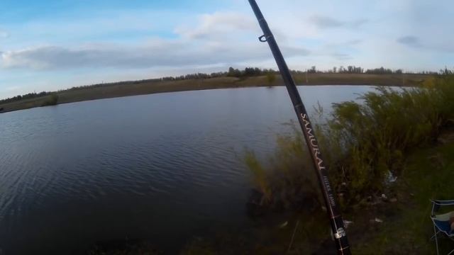 Рыбалка на карпа,карася весной на диком пруду. смотреть онлайн