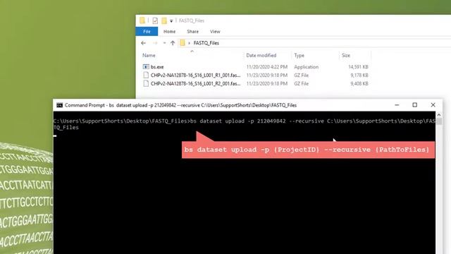 How To: Uploading and Downloading FASTQ Files with BaseSpace смотреть онлайн