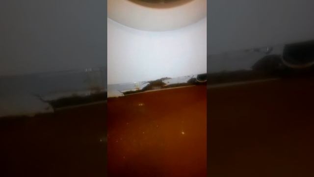 Как увеличить жизнь стиральной машины смотреть онлайн