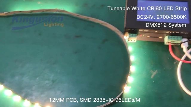 MX512 Controller, DC24V, SMD 2835+IC, Addressable Tuneable White CRI80 LED Strip(Kingunion Lighting