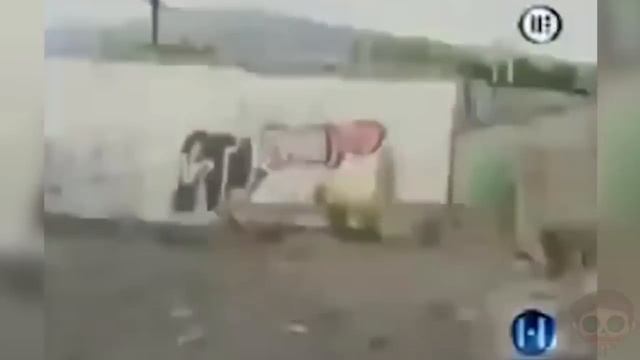 20 НЕИЗВЕСТНЫХ СУЩЕСТВ СНЯТЫХ НА КАМЕРУ. Зомби Чез