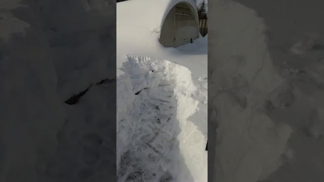 мой подарок мужу на 23 февраля 2021 смотреть онлайн