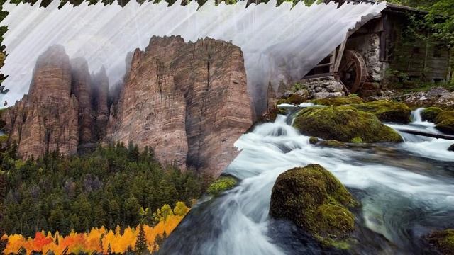 Какофония сказочных лесов и ледяное царство Сказки Мира смотреть онлайн