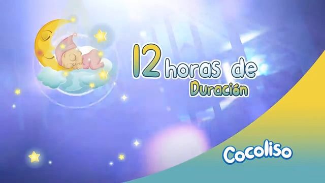 COMERCIAL COCOLISO 2 31agosto2017