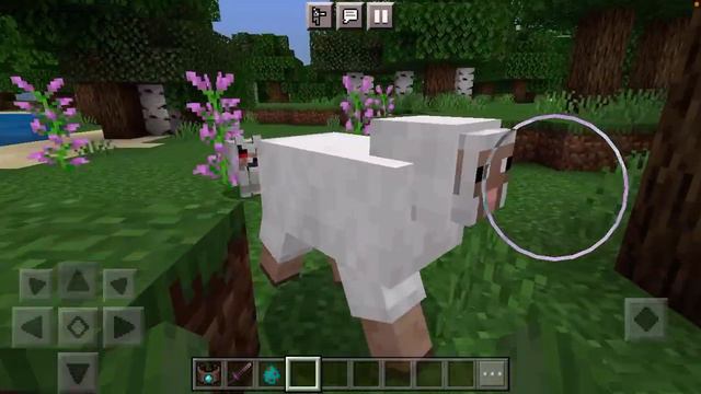 Morph Bracelet showcase in Minecraft смотреть онлайн