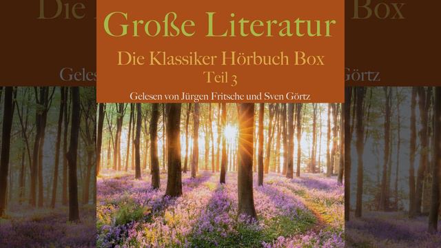 Edgar Allan Poe - Die Grube und das Pendel 04.2 - Große Literatur: Die Klassiker Hörbuch Box смотреть онлайн