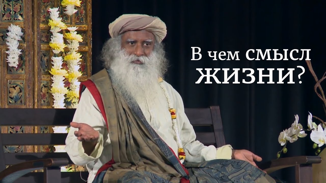 В чем смысл жизни?
Садхгуру смотреть онлайн