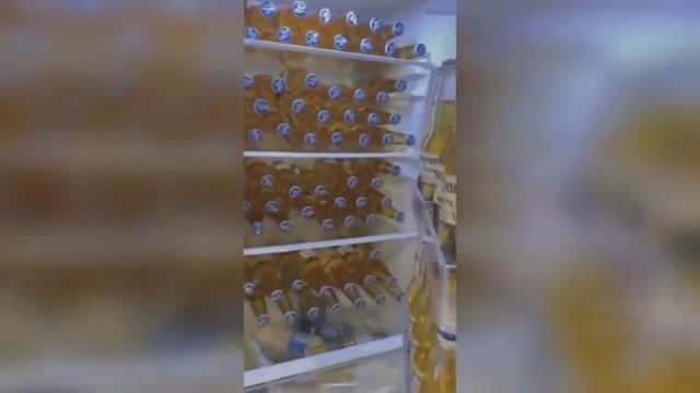 Попугай Ричи, Холодильник холостяка, Жена заправила авто смотреть онлайн