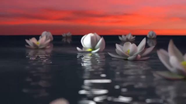 STADA. Femileks. Пример работы. Написание музыки смотреть онлайн