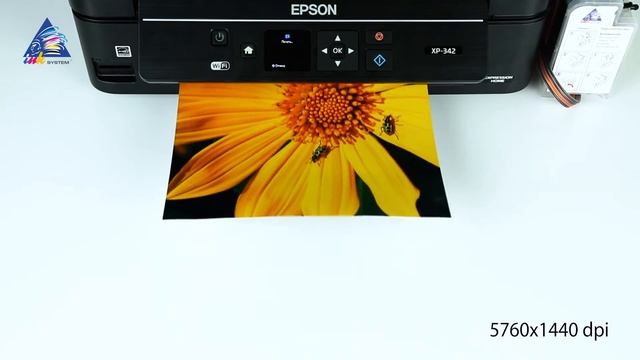 Обзор принтера Epson Expression Home XP-342 смотреть онлайн