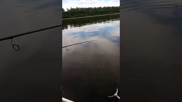 Томь, Чёрный Этап смотреть онлайн