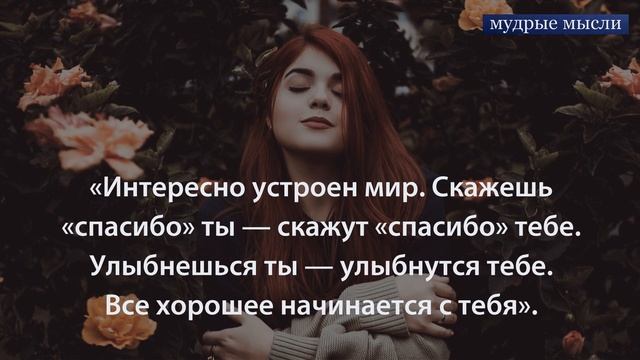 Умные Мысли и Фразы Великих Мыслителей | Чаша Мудрости смотреть онлайн