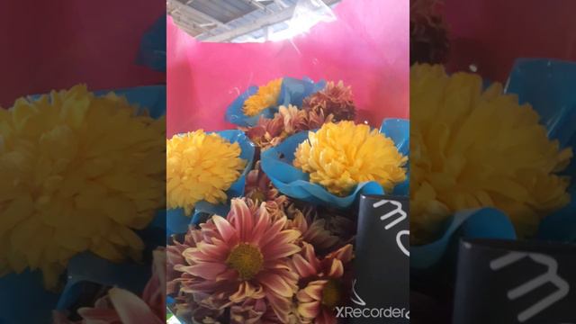С днём рожденья тебя ,Эльсевар кызым !