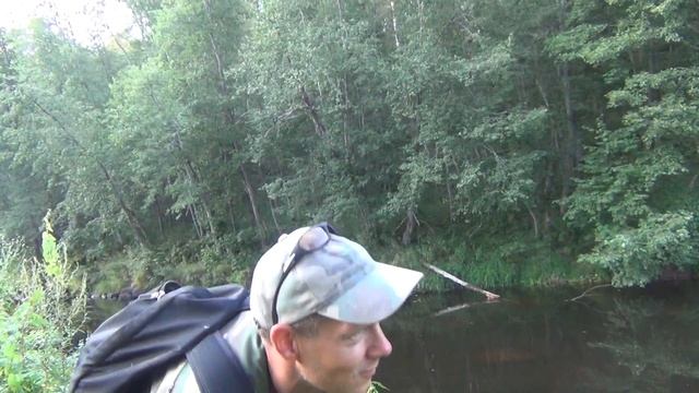Речка Мошня, около деревни Жихарево в Крестецком районе Новгородской области смотреть онлайн