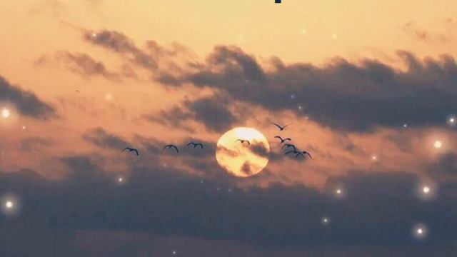 Слава Крым - Новая Полька 2020 смотреть онлайн