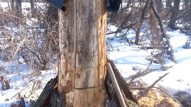 Пчеловодство. колода (дуплянка своими руками часть 2), Beekeeping. Deck смотреть онлайн