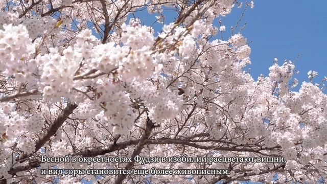 Фудзияма, святыня и источник художественного вдохновения смотреть онлайн