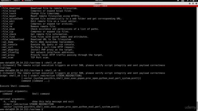 5. Bypassing Limited Privileges & Executing Shell Commands смотреть онлайн