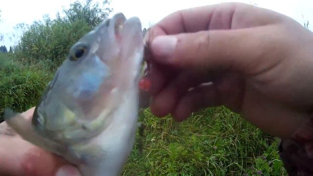 рыбалка на малой речке смотреть онлайн